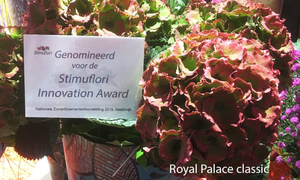 Royal Palace nominatie Stimuflori Innovation Award